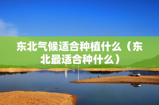 东北气候适合种植什么（东北最适合种什么）