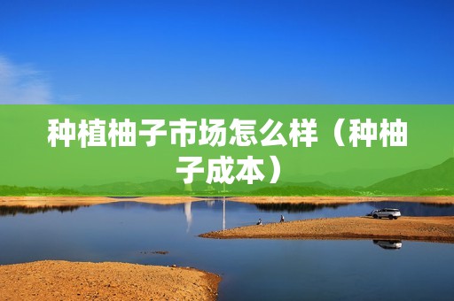 种植柚子市场怎么样（种柚子成本）