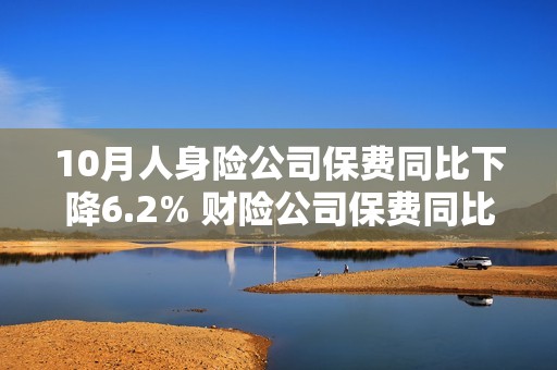 10月人身险公司保费同比下降6.2% 财险公司保费同比增长5%