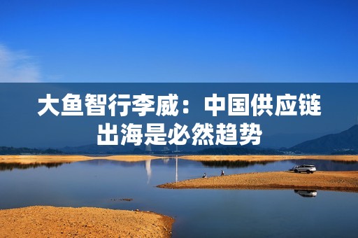 大鱼智行李威：中国供应链出海是必然趋势