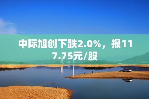 中际旭创下跌2.0%，报117.75元/股