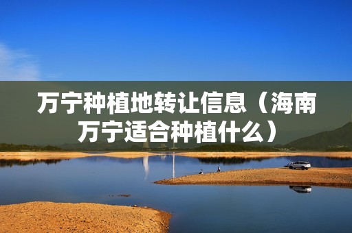 万宁种植地转让信息（海南万宁适合种植什么）