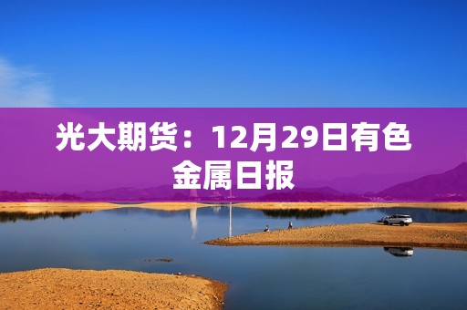 光大期货：12月29日有色金属日报