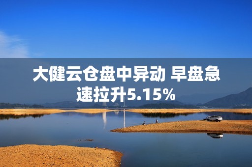 大健云仓盘中异动 早盘急速拉升5.15%