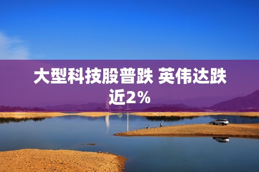 大型科技股普跌 英伟达跌近2%