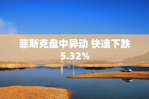 菲斯克盘中异动 快速下跌5.32%