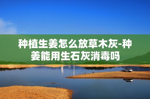 种植生姜怎么放草木灰-种姜能用生石灰消毒吗