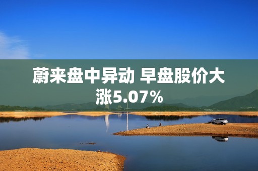 蔚来盘中异动 早盘股价大涨5.07%