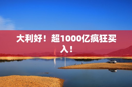 大利好！超1000亿疯狂买入！