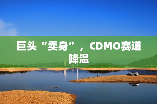 巨头“卖身”，CDMO赛道降温