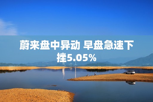 蔚来盘中异动 早盘急速下挫5.05%