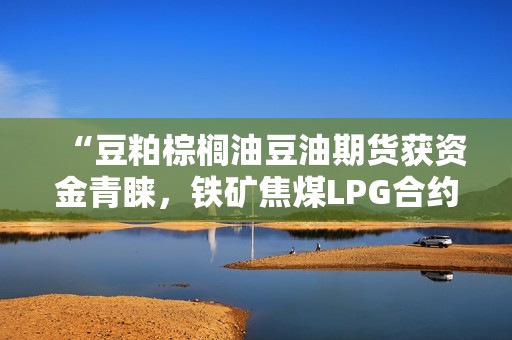 “豆粕棕榈油豆油期货获资金青睐，铁矿焦煤LPG合约遭市场减仓”