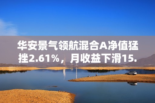 华安景气领航混合A净值猛挫2.61%，月收益下滑15.01%在3146只基金中排名