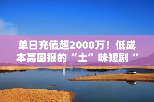 单日充值超2000万！低成本高回报的“土”味短剧“吸金力”十足，10只滞涨概念股年内获北上资金加仓