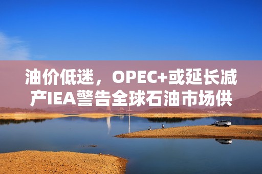 油价低迷，OPEC+或延长减产IEA警告全球石油市场供应过剩