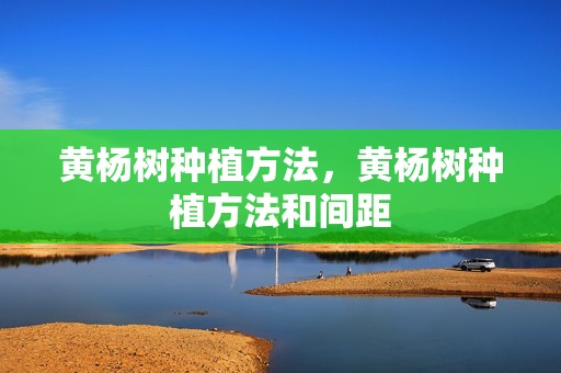 黄杨树种植方法，黄杨树种植方法和间距