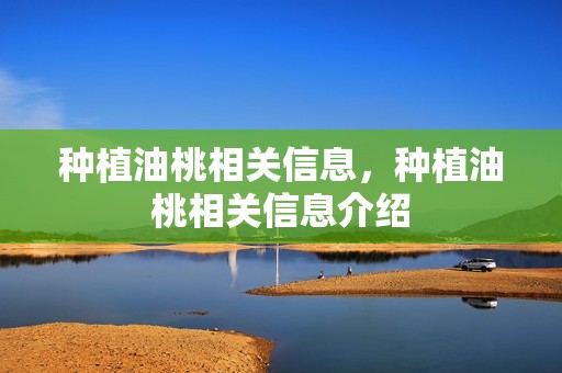 种植油桃相关信息，种植油桃相关信息介绍