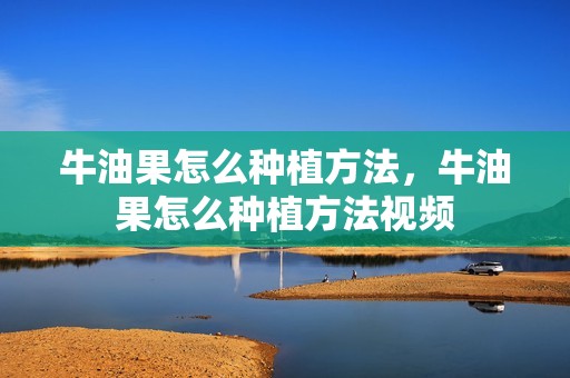 牛油果怎么种植方法，牛油果怎么种植方法视频