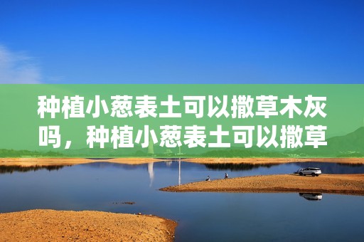 种植小葱表土可以撒草木灰吗，种植小葱表土可以撒草木灰吗视频