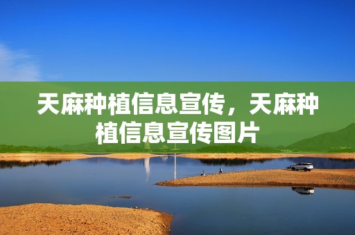 天麻种植信息宣传，天麻种植信息宣传图片