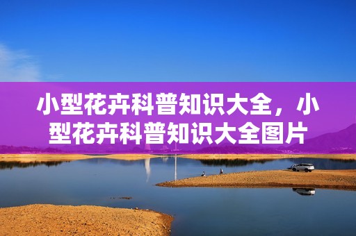 小型花卉科普知识大全，小型花卉科普知识大全图片