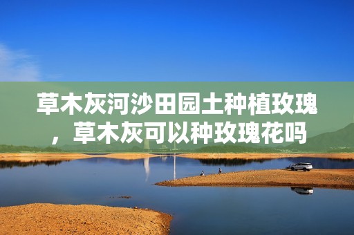 草木灰河沙田园土种植玫瑰，草木灰可以种玫瑰花吗