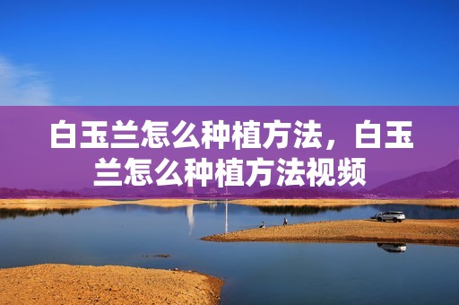 白玉兰怎么种植方法，白玉兰怎么种植方法视频