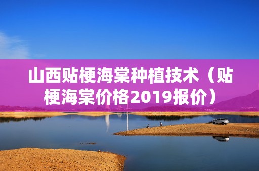 山西贴梗海棠种植技术（贴梗海棠价格2019报价）