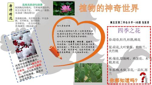 花卉知识科普海报制作模板（花卉百科知识手抄报）