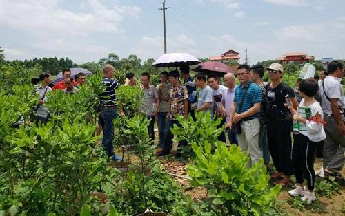 坚果种植培训信息稿标题（坚果种植培训信息稿标题怎么写）