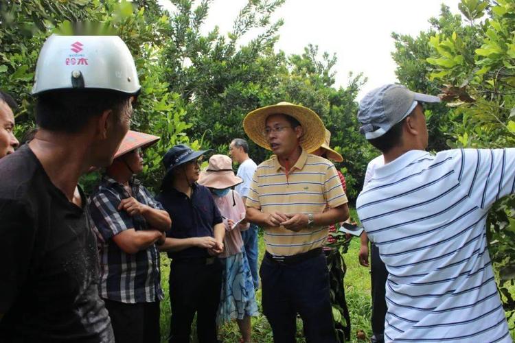 坚果种植培训信息稿标题（坚果种植培训信息稿标题怎么写）