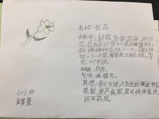 花卉知识任务单怎么做（花卉知识任务单怎么做好看）