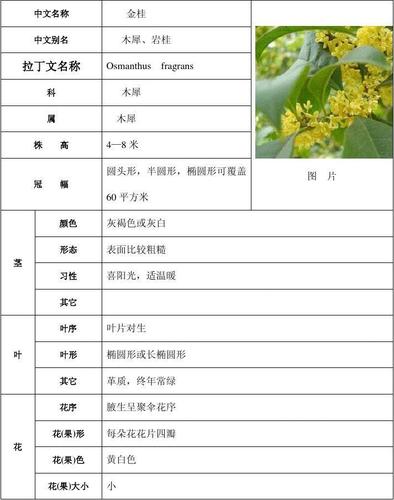 花卉知识任务单怎么做（花卉知识任务单怎么做好看）