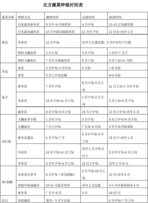 河南种植包菜的时间和方法（河南种菜时间表）