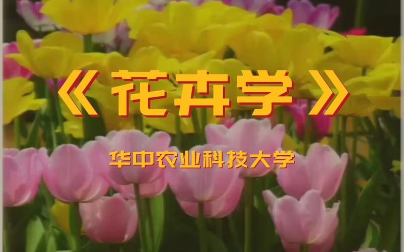 花卉知识专业大学排名（花卉学是哪个专业的）