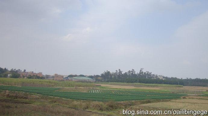 黎塘种植场地出租信息（黎塘农场）