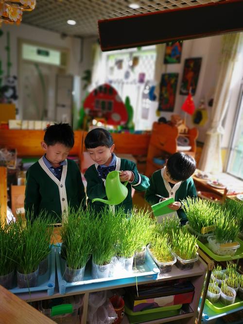 春天种植活动信息稿件幼儿（幼儿园春天种植园美篇）