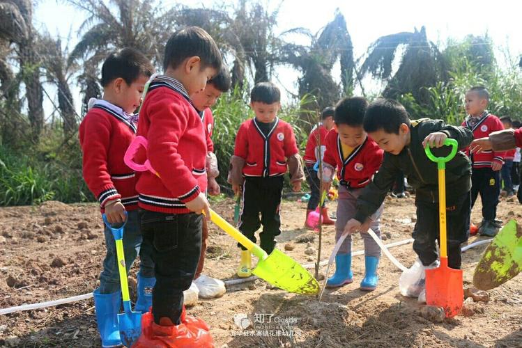 春天种植活动信息稿件幼儿（幼儿园春天种植园美篇）