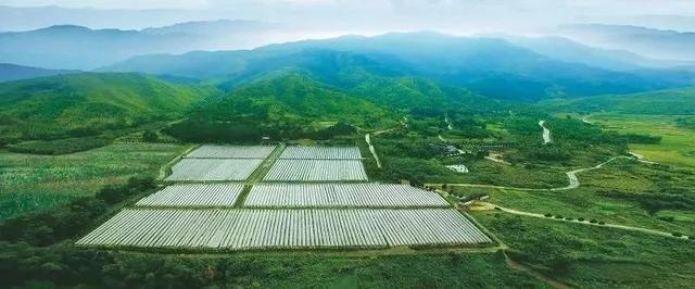 生态种植园招聘信息网站（生态种植园前景怎么样）