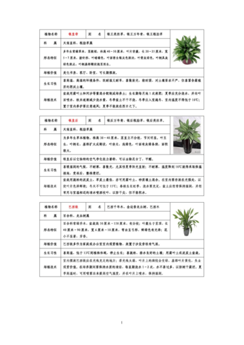 花卉管理小知识-花卉的管理与养护