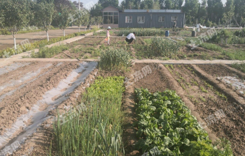 潍坊种植地出租信息网站-潍坊菜园租种