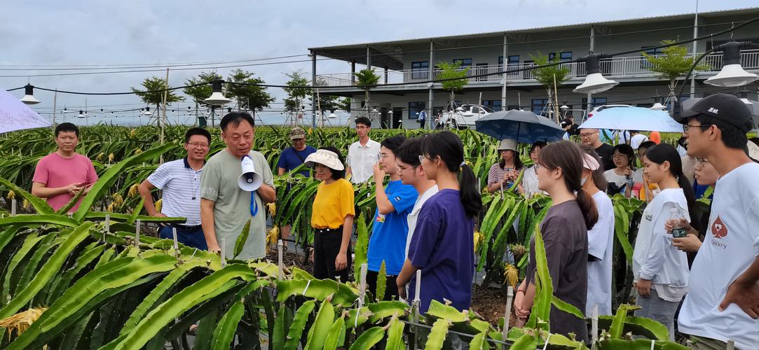 儋州农业种植招人信息查询-儋州市农场