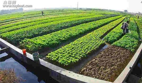 厦门种植土地转让最新信息-厦门种植基地