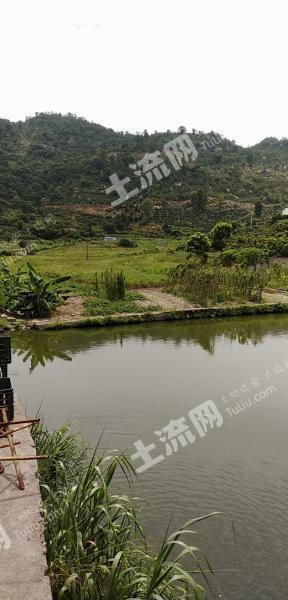 厦门种植土地转让最新信息-厦门种植基地