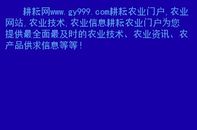 今日农业种植信息-今日农业网