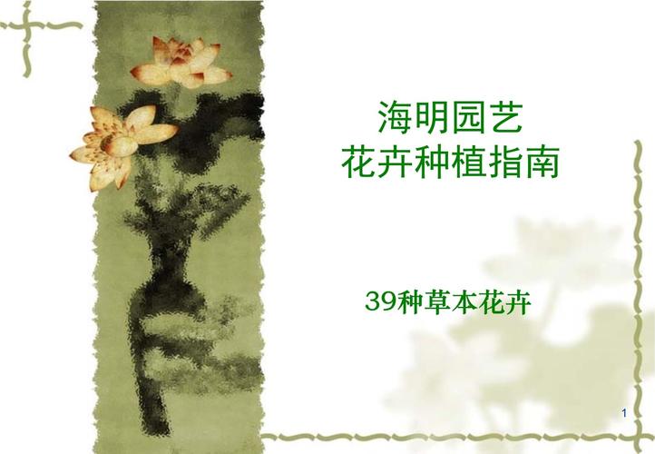 园艺花卉种植知识入门教程-园艺花卉种植知识入门教程