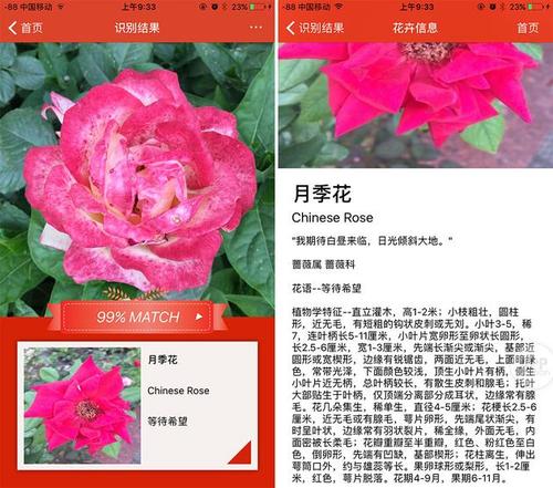 免费普及花卉知识有哪些-花卉知识app