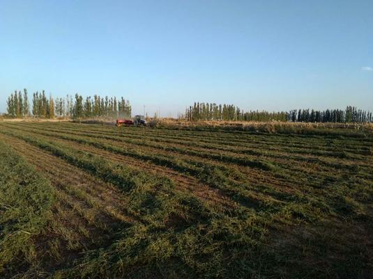 种植农场转让信息查询网-种植农场有补贴吗