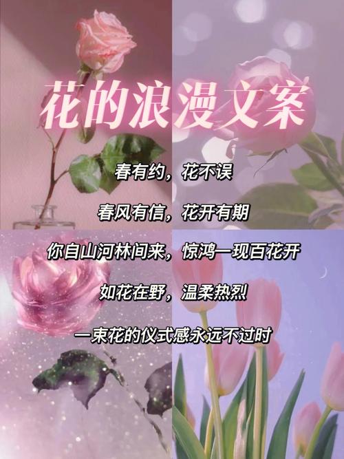 花卉知识偶像文案素材app-花卉文艺