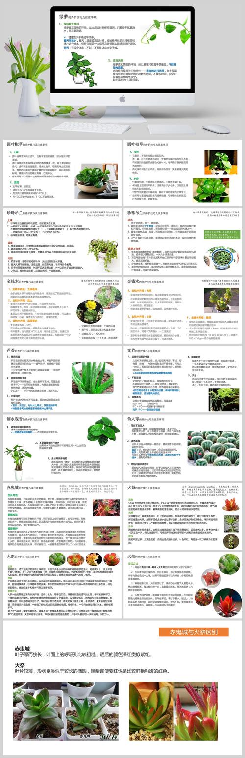 绿植花卉养殖知识培训课件-室内绿植养护培训方案